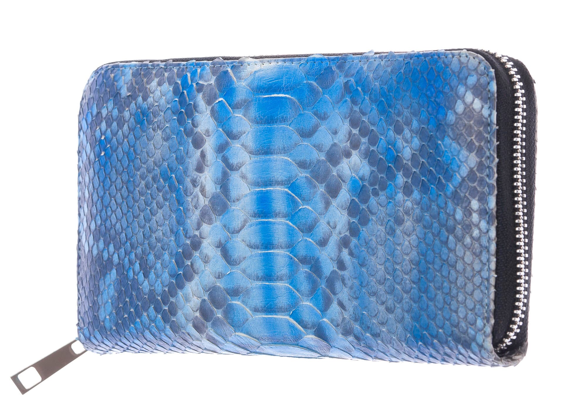 GARDENIA: portafoglio donna in pelle di pitone, colore : AZZURRO, Made in Italy (Portafoglio