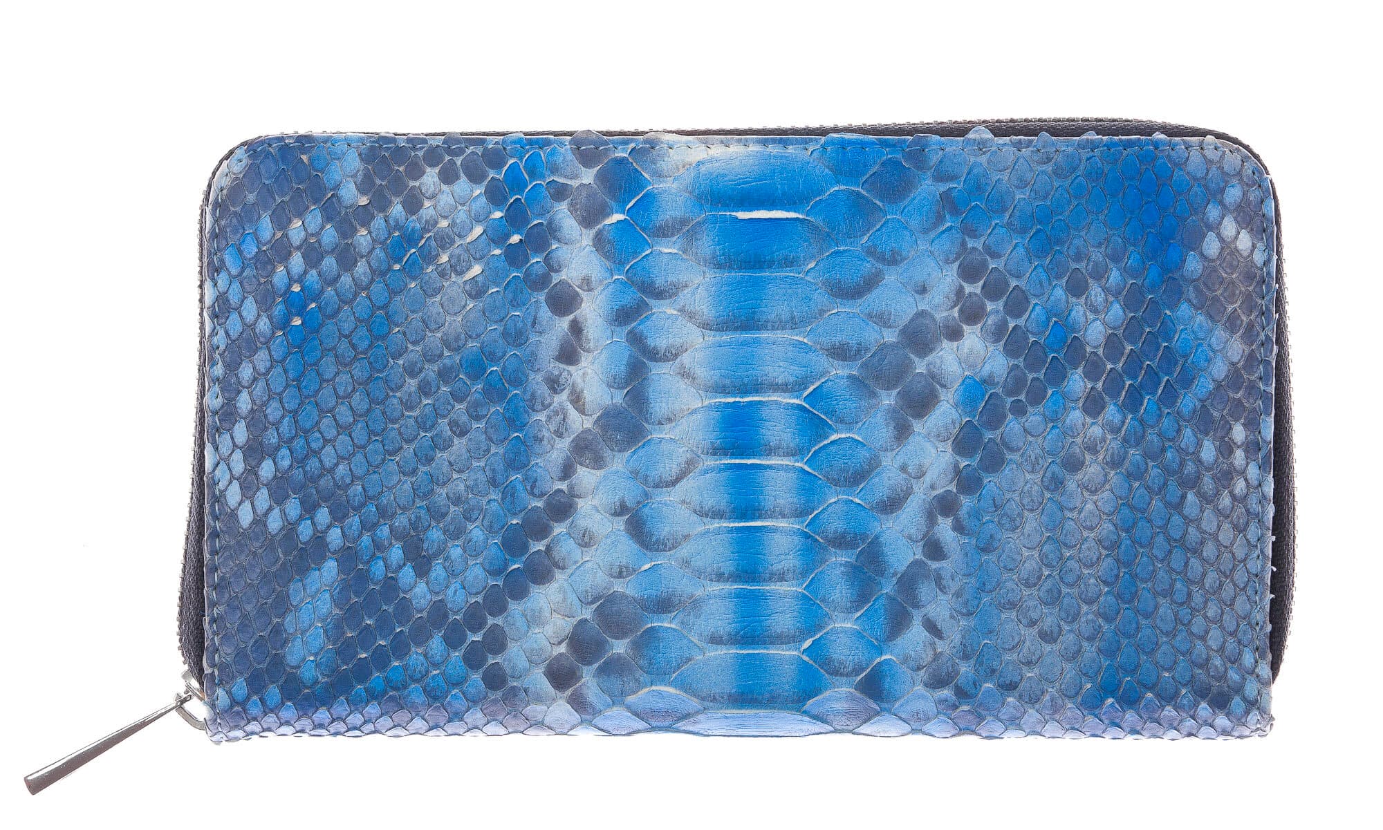 GARDENIA: portafoglio donna in pelle di pitone, colore : AZZURRO, Made in Italy (Portafoglio