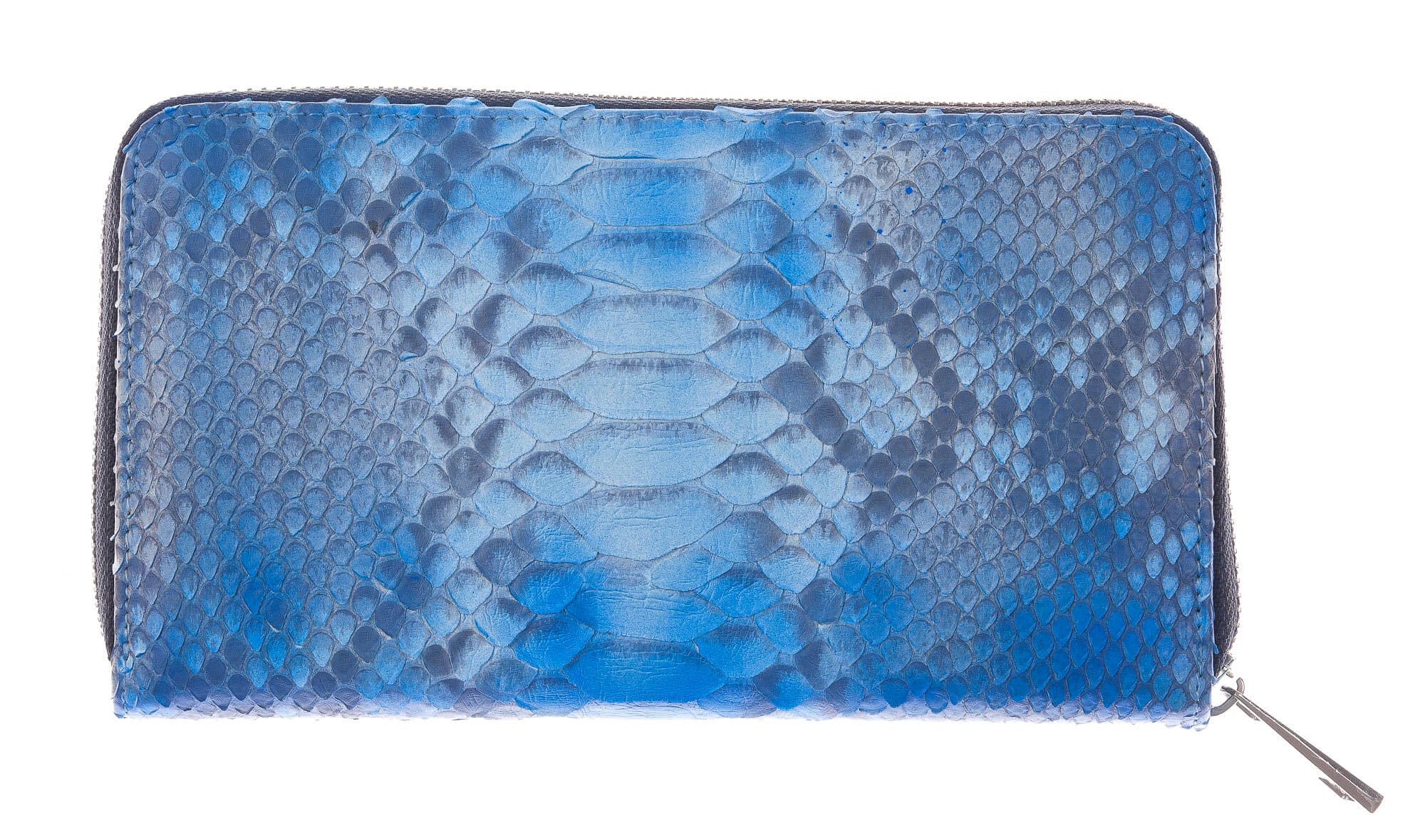 GARDENIA: portafoglio donna in pelle di pitone, colore : AZZURRO, Made in Italy (Portafoglio