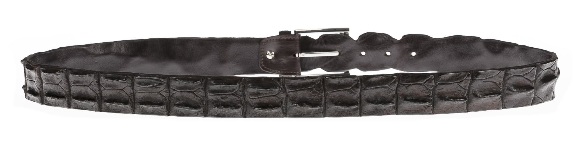 Cintura uomo in vera pelle di coccodrillo CATTOLICA, colore TESTA DI MORO, SANTINI, MADE IN ITALY