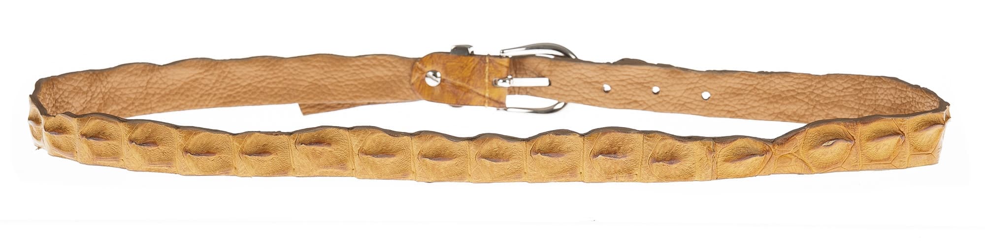 Cintura donna in vera pelle di coccodrillo DURBAN, certificato CITES, colore MIELE, SANTINI, MADE IN ITALY