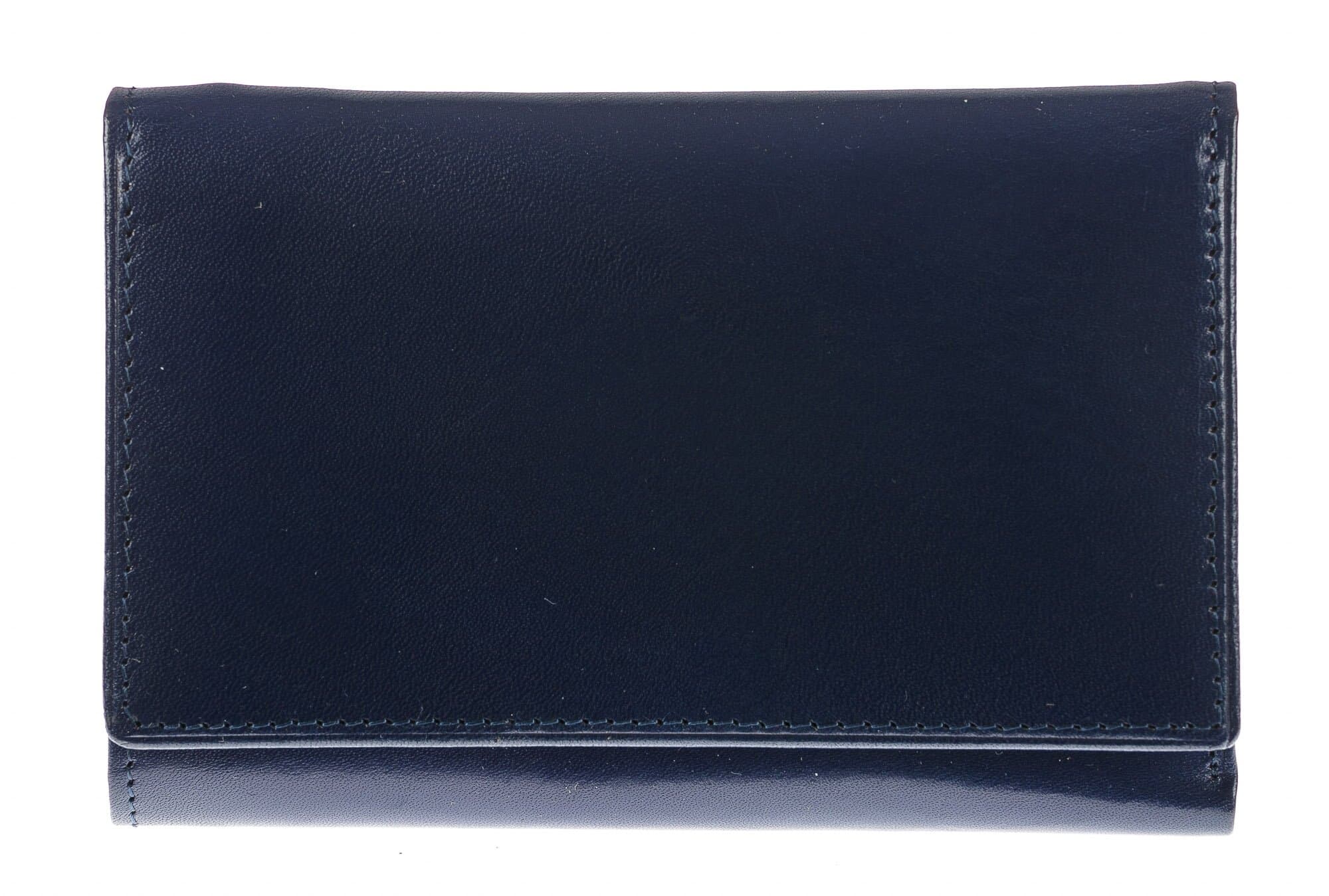 Portafoglio in vera pelle da donna ARTEMISIA, colore BLU, SANTINI, Made in Italy