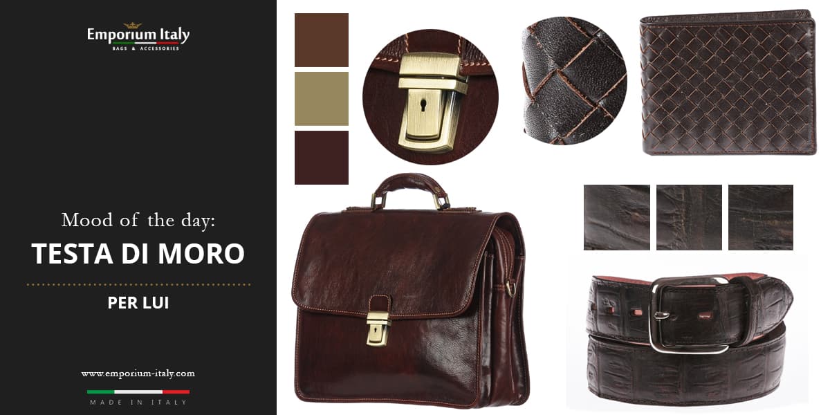 Moodboard: colore testa di moro per lui -  Borsa ufficio, cintura e portafoglio