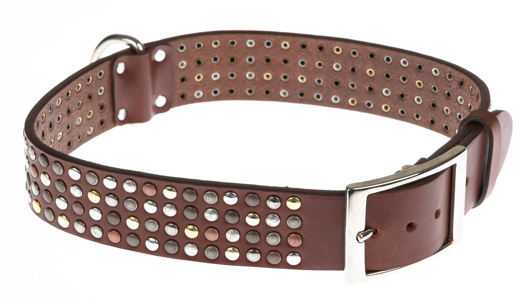 Collare per cani FIDO in vera pelle, colore MARRONE, con borchie, CHIAROSCURO, Made in Italy