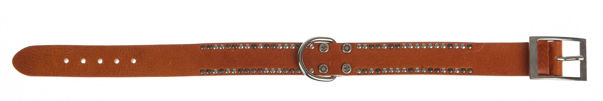 Collare per cani PEPE in vera pelle, colore MIELE, con borchie, CHIAROSCURO, Made in Italy