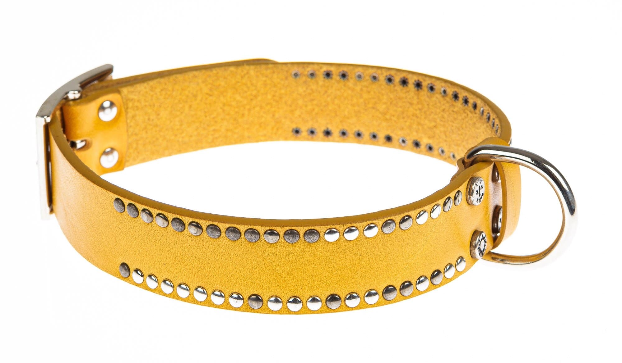 Collare per cani PEPE in vera pelle, colore GIALLO, con borchie, CHIAROSCURO, Made in Italy