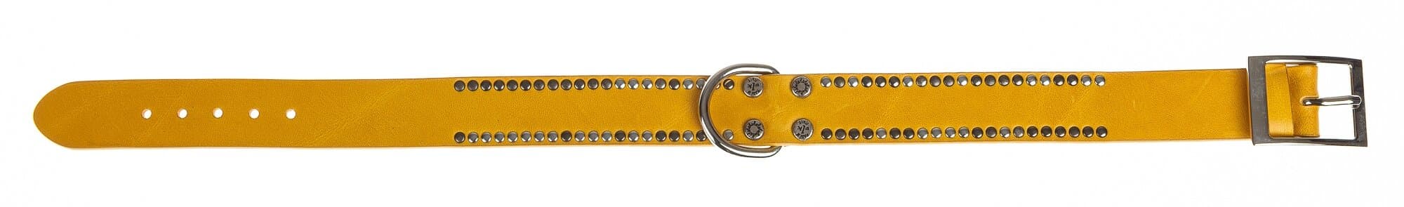 Collare per cani PEPE in vera pelle, colore GIALLO, con borchie, CHIAROSCURO, Made in Italy