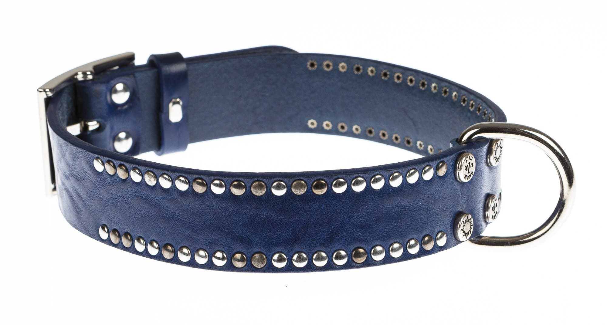 Collare per cani PEPE in vera pelle, colore BLU, con borchie, CHIAROSCURO, Made in Italy