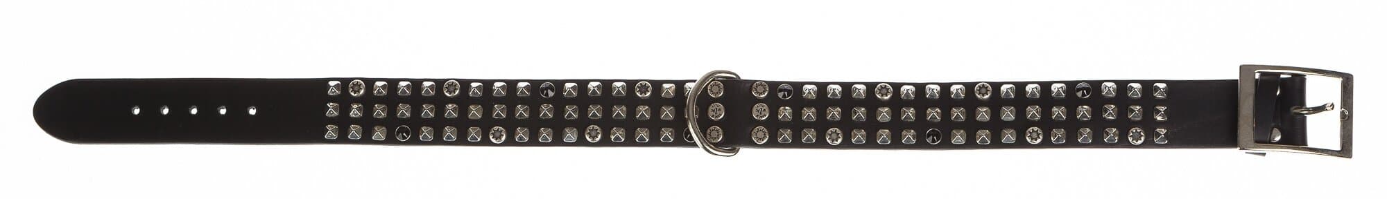 Collare per cani BINGO in vera pelle, colore NERO, con borchie, CHIAROSCURO, Made in Italy